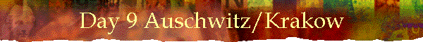 Day 9 Auschwitz/Krakow